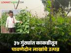 पारंपरिक पिकांना फाटा देत गणेशरावांनी ३५ गुंठे काकडीतून घेतले पावणेदोन लाखांचे उत्पन्न - Marathi News | Giving up traditional crops, Ganeshrao earned an income of Rs. 2.5 lakh from 35 gunthas of cucumbers | Latest success-story News at Lokmat.com