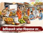 घातक केमिकलने आंबा पिकवाल तर होणार थेट फौजदारी कारवाई; अन्न सुरक्षा आयुक्तांचे आदेश - Marathi News | Direct criminal action will be taken if mangoes are grown with hazardous chemicals; Food Safety Commissioner orders | Latest farming-ideas News at Lokmat.com