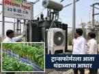 मिरची उत्पादकांची चिंता मिटली; ट्रान्सफॉर्मर आता 'कूल'! - Marathi News | latest news Chilli growers' worries are over; transformers are now 'cool'! | Latest farming-ideas News at Lokmat.com