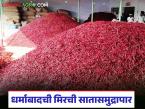 Chilli Export : तिखटाचा जागतिक ठसका; धर्माबादची मिरची झाली ग्लोबल स्टार - Marathi News | latest news Chilli Export: Global impact of chilli; Dharmabad chilli becomes a global star | Latest market-yard News at Lokmat.com