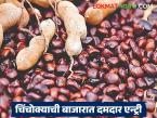 Tamarind Seeds Market Price : चिंचोक्याने बाजारात मारली दमदार एन्ट्री; आता मिळतोय गव्हाएवढा भाव! - Marathi News | latest news Tamarind Seeds Market Price: Tamarind has made a strong entry in the market; Now it is getting the same price as wheat! | Latest market-yard News at Lokmat.com