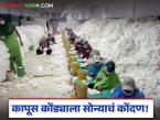 Cotton Farming : कापूस कोंड्याला सोन्याचं कोंदण; आता अंजनगाव सुर्जीत होणार 'गारमेंट क्लस्टर' - Marathi News | latest news Cotton Farming: Cotton bran has a golden husk; Now there will be a 'garment cluster' in Anjangaon Surjit | Latest farming-ideas News at Lokmat.com