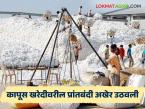 Kapus Kharedi : कापूस उत्पादकांना मोठा दिलासा; कापूस खरेदीवरील प्रांतबंदी अखेर उठवली वाचा सविस्तर - Marathi News | latest news Kapus Kharedi: Big relief for cotton growers; Provincial ban on cotton purchase finally lifted Read in detail | Latest farming-ideas News at Lokmat.com