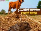 आंतरराष्ट्रीय बाजारात गाईच्या शेणाला प्रचंड मागणी; भारतातून कोणत्या देशात किती शेण होतंय निर्यात? - Marathi News | There is huge demand for cow dung in the international market; How much cow dung is exported from India to which country? | Latest agri-business News at Lokmat.com