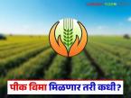 Crop Insurance Delay : पीक विमा मिळणार तरी कधी? सव्वासात लाख शेतकरी प्रतीक्षेत! वाचा सविस्तर - Marathi News | latest news Crop Insurance Delay: When will crop insurance be available? Seven and a half lakh farmers are waiting! Read in detail | Latest farming-ideas News at Lokmat.com