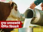 Dairy Farming : दुग्ध उत्पादकांचे गणित बिघडले; खर्च वाढला, हातात काहीच नाही! - Marathi News | latest news Dairy Farming: Milk producers' calculations have gone wrong; expenses have increased, they have nothing in hand! | Latest agri-business News at Lokmat.com