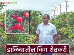 १० वर्षांपासून डाळिंबाची युरोपला निर्यात; बिदालचा 'हा' शेतकरी एका हंगामात घेतोय ९५ लाखांचे उत्पन्न - Marathi News | Exporting pomegranates to Europe for 10 years; This farmer from Bidal earns an income of Rs 95 lakhs in a season | Latest success-story News at Lokmat.com