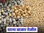 Shetmal Market Update : धान्य बाजार तेजीत; उच्च प्रतीच्या सोयाबीनला मोठी मागणी वाचा सविस्तर - Marathi News | latet news Shetmal Market Update: Shetmal market is booming; High demand for high quality soybeans | Latest market-yard News at Lokmat.com