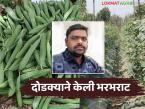 दोडक्यातून मिळाली समृद्धी; २० गुंठ्यात साडेतीन लाखाच्या उत्पन्नाची पांडुरंगरावांची प्रेरणादायी कहाणी - Marathi News | Prosperity through ridge gourd farming; Inspiring story of Pandurangrao who earned 3.5 lakhs in 20 gunthas | Latest success-story News at Lokmat.com