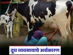 दुधाला मिळणारे अनुदान वर्षभरापासून बंद, दुधाचा जोडधंदा ठरतोय आतबट्ट्याचा, वाचा सविस्तर  - Marathi News | Latest News Milk subsidy stopped for year, milk business down market read in detail | Latest agri-business News at Lokmat.com