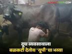 Dairy Farm Kolhapur : 'यूपी'मधला भय्या राबतोय गोठ्यात.. म्हणूनच आमचा दूध व्यवसाय थाटात - Marathi News | Dairy Farm Kolhapur : The labour from 'UP' is working in our cowshed.. that's why our milk business is booming | Latest agri-business News at Lokmat.com