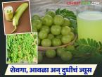 Healthy Juice : हिवाळ्यात फायदेशीर ठरतील शेवगा, आवळा अन् दुधीच्या ज्यूसचे 'हे' पाच फायदे - Marathi News | Latest News Healthy Juice These five benefits of Shevga, Amla and Milk Juice will be beneficial in winter | Latest farming-ideas News at Lokmat.com