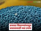fake seeds alert : खरीपपूर्वी ॲक्शन मोड; बोगस बियाण्यांविरोधात टोल फ्री नंबर सुरू - Marathi News | latest news fake seeds alert: Action mode before Kharif; Toll free number launched against bogus seeds | Latest farming-ideas News at Lokmat.com
