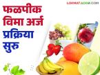हवामान धोक्यांपासून फळपिकांना संरक्षण मिळविण्यासाठी 'या' योजनेत सहभागी व्हा? वाचा सविस्तर - Marathi News | Participate in this scheme to protect fruit crops from weather hazards? Read in detail | Latest farming-ideas News at Lokmat.com