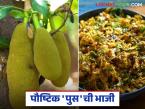 कोकणात पौष महिन्यात फणसापासून बनवली जाणारी 'ही' भाजी आहे अत्यंत पॉप्युलर - Marathi News | This vegetable made from jackfruit is very popular in Konkan during the month of Paush | Latest agri-business News at Lokmat.com