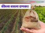 Pik Vima : शेतकऱ्याला न्याय मिळाला… पण कसा? वाचा प्रकरण सविस्तर - Marathi News | latest news Pik Vima: The farmer got justice… but how? Read the case in detail | Latest farming-ideas News at Lokmat.com