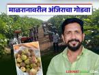 बदलत्या हवामानातही खट्टा मीठा बहर देतोय भरघोस कमाई; वाचा दीपक यांच्या अंजीर शेतीची कहाणी - Marathi News | Even in the changing climate, sweet and sour figs are yielding huge profits; Read Deepak's success story of fig farming | Latest success-story News at Lokmat.com