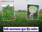 Farmer Success Story : मेथी व कारल्याची स्मार्ट शेती; नियोजनबद्ध शेतीतून 'लाखो'ची कमाई वाचा सविस्तर - Marathi News | latest news Farmer Success Story: Smart farming of fenugreek and bitter gourd; Earning millions from planned farming | Latest farming-ideas News at Lokmat.com