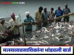 राज्यातील 'या' मत्स्य व्यवसायिकांना 2 लाखापर्यंतचे कर्ज अन् 4 टक्के व्याज परतावा सवलत - Marathi News | latest News Loans of up to Rs 2 lakh and 4 percent interest repayment concession for fisherman | Latest agri-business News at Lokmat.com