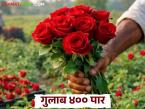 मागणीच्या तुलनेत आवक घटल्याने फूल बाजारात भाववाढ; वाढत्या तापमानामुळे शेतकऱ्यांच्या उत्पादनात मात्र घट - Marathi News | Prices increase in the flower market as arrivals fall compared to demand; however, farmers' production decreases due to rising temperatures | Latest market-yard News at Lokmat.com