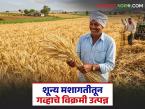 शून्य मशागत तंत्रज्ञान, कमी खर्चातून प्रति हेक्टर 71 क्विंटल गव्हाचे विक्रमी उत्पन्न, वाचा शेतकऱ्याची यशोगाथा  - Marathi News | Latest news No tillage, record yield of 71 quintals of wheat per hectare, read the farmer's success story | Latest success-story News at Lokmat.com
