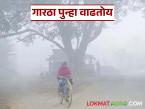 राज्यात बदलत्या हवामानाचा परिणाम; काही प्रमाणात कमी झालेली थंडी आता पुन्हा वाढणार - Marathi News | Impact of changing weather in the state; Cold, which has reduced to some extent, will now increase again | Latest weather News at Lokmat.com