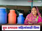 दूध उत्पादक महिला सभासदांसाठी नारी सन्मान विमा योजना; किती आणि कशी मिळणार भरपाई? - Marathi News | Nari Samman Insurance Scheme for women milk producer members; How much and how will you get compensation? | Latest agri-business News at Lokmat.com