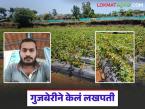 गुजबेरीचे पिक पाच महिन्यात देतंय तब्बल ५ लाखांचे उत्पन्न; कशी केली जाते गुजबेरीची शेती? - Marathi News | Gooseberry crop yields a whopping Rs 5 lakh in five months; How is gooseberry farming done? | Latest success-story News at Lokmat.com