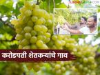 द्राक्ष शेतीतून नगर जिल्ह्यातील 'हे' गाव झालं करोडपती; जमिनीचा दर चाललाय एकरी ५० ते ६० लाख रुपये - Marathi News | This village in Nagar district has become a millionaire through grape farming; Land prices are running at Rs 50 to 60 lakh per acre | Latest success-story News at Lokmat.com