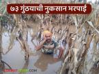 Nuksan Bharpai : 73 गुंठ्यातील मक्याचे नुकसान; भरपाई मात्र 5 हजार रुपये, वाचा कांद्याला किती मिळाली  - Marathi News | Latest News Nuksan Bharpai Damage to maize in 73 gunthas; Compensation only Rs 5 thousand | Latest farming-ideas News at Lokmat.com