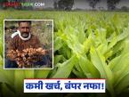 Farmer Success Story : नोकरी कशाला? फक्त अडीच एकर शेतीतून कमावले १८ लाख; जाणून घ्या या सुभाषरावांचे 'हळद' गुपित! - Marathi News | latest news Farmer Success Story: Why a job? Earned 18 lakhs from just 2.5 acres of farming; Know the 'turmeric' secret of this Subhash Rao! | Latest success-story News at Lokmat.com