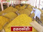 Halad Bajarbhav : हळदकोंडी! इंडेक्सवर तेजी, पण बाजारात भाव घसरले; कारण काय? - Marathi News | latest news Halad Bajarbhav: Turmeric Controversy! Index up, but prices fell in the market; What is the reason? | Latest market-yard News at Lokmat.com