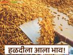 Halad Market : हळदीला आला भाव! ५ दिवसांत 'इतक्या' रुपयांची वाढ वाचा सविस्तर - Marathi News | latest news Halad Market: Turmeric prices have increased! Increase of 'so much' rupees in 5 days Read in detail | Latest market-yard News at Lokmat.com