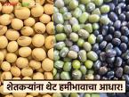 FPO Procurement Centers : केंद्र सरकारकडून मंजुरी; शेतकऱ्यांना मिळणार थेट हमीभाव संरक्षण वाचा सविस्तर - Marathi News | latest news FPO Procurement Centers: Approval from the Central Government; Farmers will get direct guaranteed price protection Read in detail | Latest market-yard News at Lokmat.com