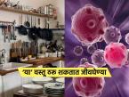 अरे बापरे! तुमच्या किचनमधील 'या' गोष्टी देतात थेट कॅन्सरला आमंत्रण; आजच फेकून द्या बाहेर - Marathi News | harmful kitchen items that may increase cancer risk kitchen safety tips to avoid toxic chemicals in food | Latest sakhi Photos at Lokmat.com अरे बापरे! तुमच्या किचनमधील 'या' गोष्टी देतात थेट कॅन्सरला आमंत्रण; आजच फेकून द्या बाहेर - Marathi News | harmful kitchen items that may increase cancer risk kitchen safety tips to avoid toxic chemicals in food | Latest sakhi Photos at Lokmat.com