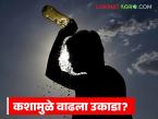 राज्यातील 'ह्या' जिल्ह्यात देशातील सर्वाधिक तापमानाची नोंद; अजून किती दिवस राहणार उष्णतेची लाट? - Marathi News | This district of the state records the highest temperature in the country; How many more days will the heat wave last? | Latest weather News at Lokmat.com