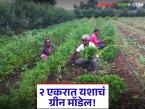 Farmer Success Story : नोकरी नको, शेतीच हवी! दोन एकरांतून मिळवले ४ लाखांचे उत्पन्न वाचा सविस्तर - Marathi News | latest news Farmer Success Story: Don't want a job, want farming! Earned an income of Rs 4 lakhs from two acres Read in detail | Latest success-story News at Lokmat.com