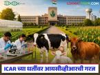 देशात स्वतंत्र भारतीय पशुवैद्यक संशोधन परिषद (आयसीव्हीआर)ची का गरज आहे? वाचा सविस्तर - Marathi News | Why is there a need for an independent Indian Council of Veterinary Research (ICVR) in the country? Read in detail | Latest agri-business News at Lokmat.com