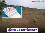 Index 2 : इंडेक्स 2 म्हणजे काय, मालमत्तेसाठी इंडेक्स 2 कसा मिळवायचा, यात आणि सातबारात फरक काय?  - Marathi News | Latest News Jamin Kharedi What is Index 2, how to get इंडेक्स 2 for property, difference between satbara or index 2 | Latest smart-farming News at Lokmat.com