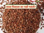 Rabi crops : पैसे मिळवून देणाऱ्या जवस पिकाकडे शेतकऱ्यांची पाठ का? कारणे जाणून घ्या सविस्तर - Marathi News | latest news Rabi crops: Why are farmers turning their backs on the money-making flax crop? Find out the reasons in detail | Latest farming-ideas News at Lokmat.com