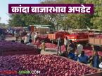 Kanda Market : राज्यात दीड लाख क्विंटल कांदा आवक, जिल्हानिहाय सरासरी काय मार्केट मिळाले?  - Marathi News | Latest News One half lakh quintals of onion arrived in maharashtra see district-wise market prices | Latest market-yard News at Lokmat.com