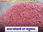 सोलापूर मार्केटमध्ये लालपेक्षा पांढऱ्या कांद्याला चांगले दर, आजचे सविस्तर कांदा बाजारभाव  - Marathi News | Latest News Kanda Market White onion prices better than red in Solapur market, today's detailed onion market price | Latest market-yard News at Lokmat.com