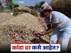लासलगाव, सोलापूर मार्केटमध्ये 13 डिसेंबर रोजी कांद्याला काय दर मिळाले, वाचा सविस्तर  - Marathi News | Latest News Read in detail what was the price of onion in Lasalgaon, Solapur market on December 13 | Latest market-yard News at Lokmat.com