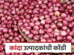 Kanda Market : कांद्याला मार्केटमध्ये उठावच नाही; विकायचा तरी कुणाला? - Marathi News | latest news Kanda Market: There is no need to raise onions in the market; who wants to sell them? | Latest market-yard News at Lokmat.com