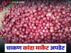 Kanda Market : मागील आठवड्याच्या तुलनेत कांद्याची आवक वाढली; वाचा काय मिळतोय दर? - Marathi News | Kanda Market : Onion arrivals have increased compared to last week; Read what is the price being obtained? | Latest market-yard News at Lokmat.com