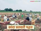 चांगला भाव मिळण्यासाठी कांद्याची प्रतवारी कशी करावी, 'ही' गोष्ट लक्षात ठेवा, वाचा सविस्तर   - Marathi News | Latest Newqs kanda market How to grade onions to get good price read in detail | Latest farming-ideas News at Lokmat.com