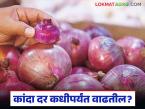 Kanda Market : कांदा बाजारभाव कधीपर्यंत वाढतील, सध्या दर कशामुळे घसरलेत, वाचा सविस्तर  - Marathi News | Latest news Till when will onion market prices increase, why are prices currently falling, read in detail | Latest market-yard News at Lokmat.com