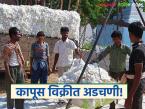 Kapus Kharedi : चुकीच्या स्लॉट बुकिंगमुळे कापूस विक्री खोळंबली वाचा सविस्तर - Marathi News | latest news Kapus Kharedi: Cotton sales disrupted due to incorrect slot booking Read in detail | Latest farming-ideas News at Lokmat.com