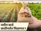 शेतकरी कर्जमाफी योजनेच्या प्रक्रियेनंतरच नवीन पीक कर्जाचे वितरण, जाणून घ्या सविस्तर  - Marathi News | Latest News New crop loan distribution only after the process of farmer loan waiver scheme, know the details | Latest farming-ideas News at Lokmat.com