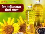 खादय तेल अभियानातंर्गत तिन्ही प्रवर्गासाठी दुसऱ्या हप्त्याचा हिस्सा आला, कुणाला किती मिळणार?  - Marathi News | Latest News The second installment of the food oil campaign has arrived for all three categories | Latest farming-ideas News at Lokmat.com